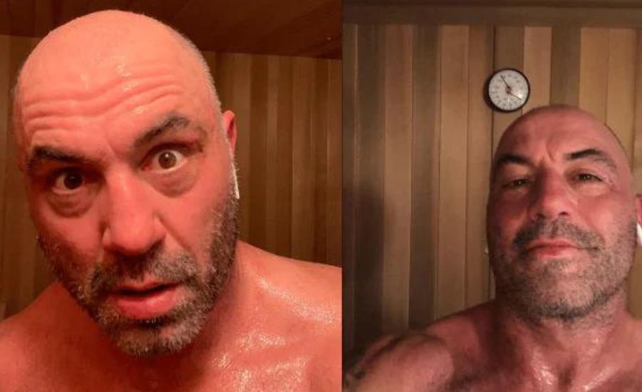 what sauna does joe rogan have